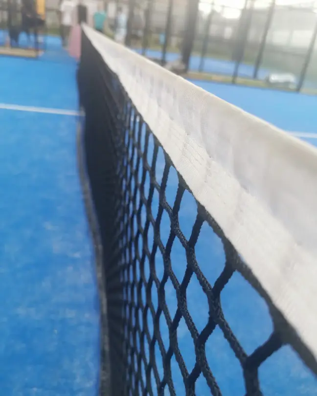 Close-up of the net